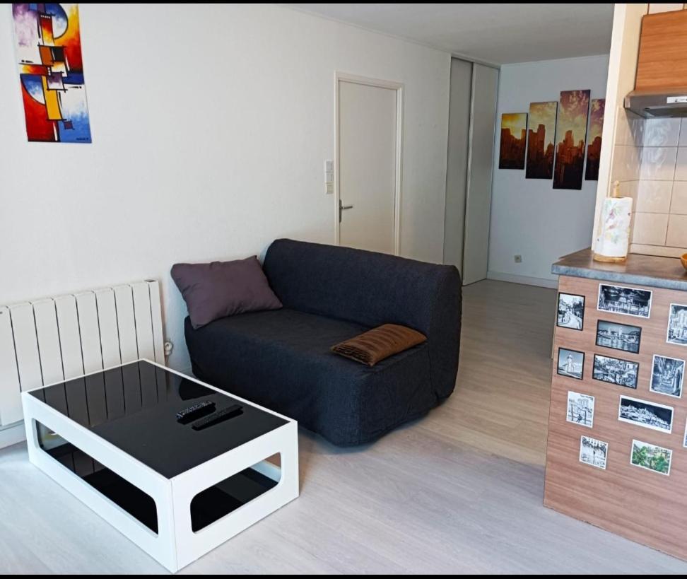 Joli T2 à Villefranche-sur-Saône Extérieur photo